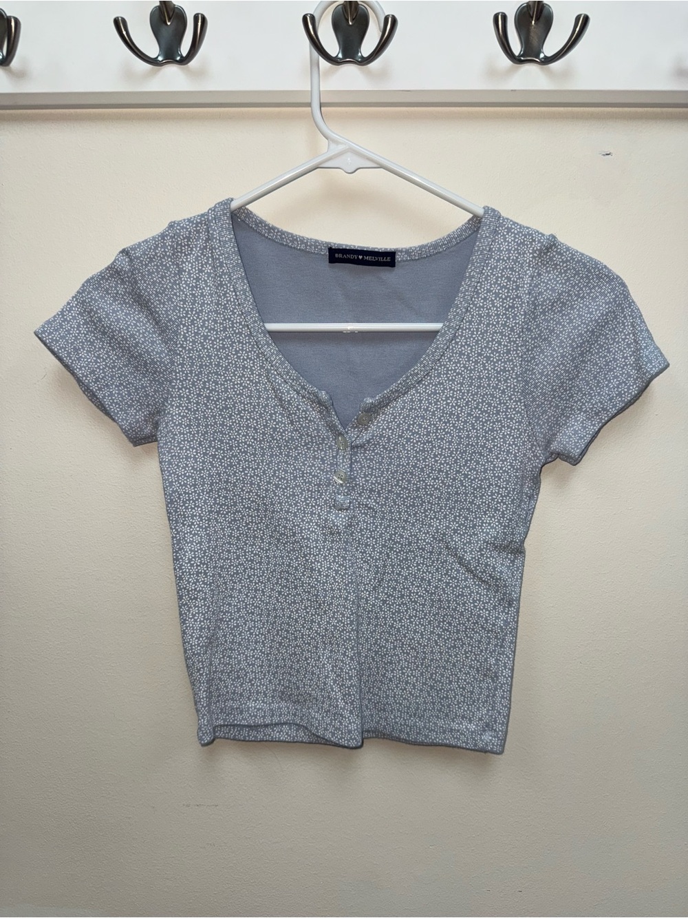 Brandy Melville Light Blue Mini Floral Henley Crop Top